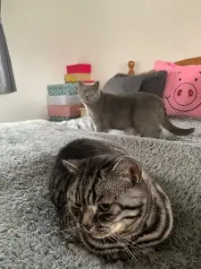 Ronnie & Reggie